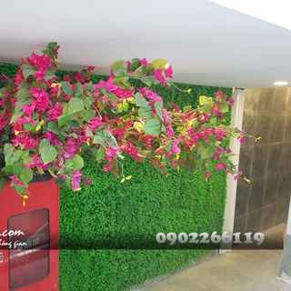 Cây hoa giấy giả tại Đà Nẵng