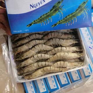 Tôm sú đông lạnh