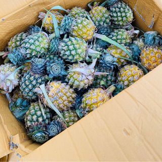Khóm Thái Lan ngọt ngất ngây