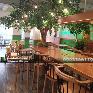 Cây lá xanh giả tại HP