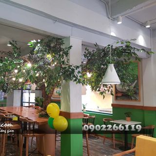 Cây lá xanh giả tại HP