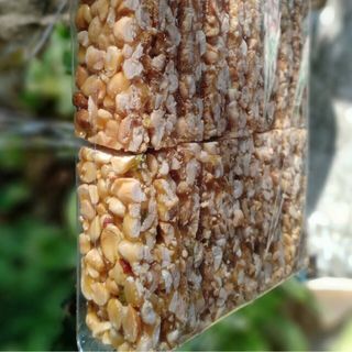 ĐẬU PHỘNG🥜🥜🥜