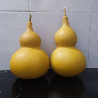 quả bầu hồ lô thật size 20-22cm