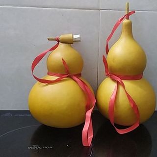 quả bầu hồ lô thật size 20-22cm