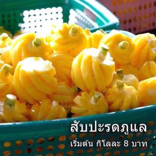 Dứa Thái Lan mini