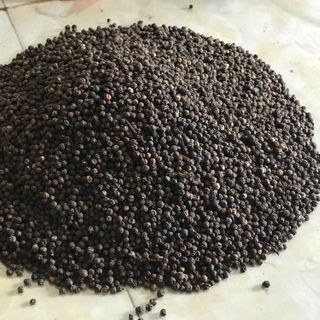 Hạt tiêu đặc sản Bình Phước