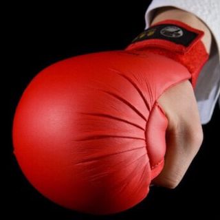 Găng tay karate giá sỉ
