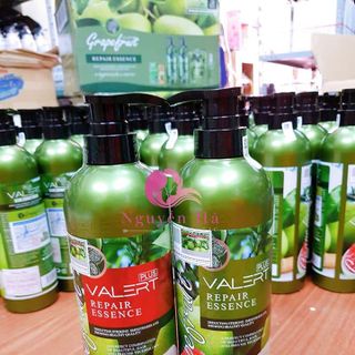 Dầu gội Bưởi Grapefruit