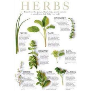 Thảo Dược Ngâm Chân Thải ĐộcHerbal Dill