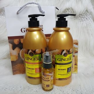 Dầu Gội Gừng Ginger giá sỉ