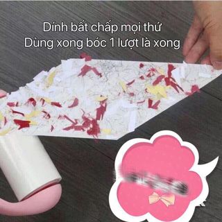 CÂY LĂN BỤI QUẦN ÁO giá sỉ