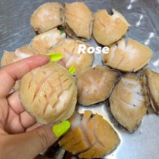 Giá Sỉ Bào Ngư Hàn Quốc - Thủy Hải sản đông lạnh