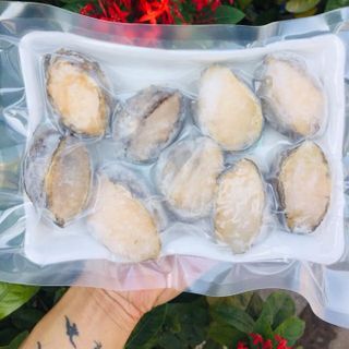 Giá Sỉ Bào Ngư Hàn Quốc - Thủy Hải sản đông lạnh