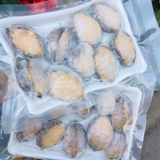 Giá Sỉ Bào Ngư Hàn Quốc - Thủy Hải sản đông lạnh
