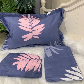 Bộ Ga và Gối Cotton Hàn