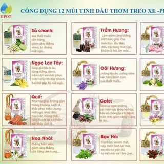 Tinh dầu thơm treo phòng treo xe Co 10 mui cho cả nhà cung chọn nhe