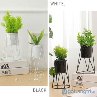 Chậu cây cảnh bằng sứ để bàn trang trí Decor Store