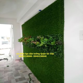 Cỏ tai chuột trang trí mảng tường xanh