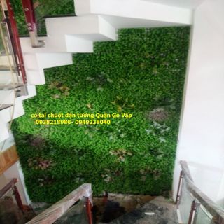 Cỏ tai chuột trang trí mảng tường xanh