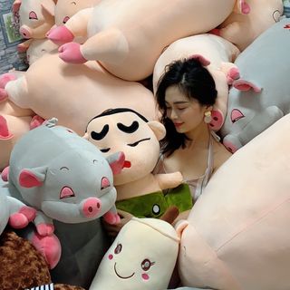 heo lười mắt híp size 60cm