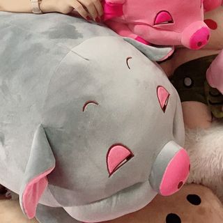 heo lười mắt híp size 60cm