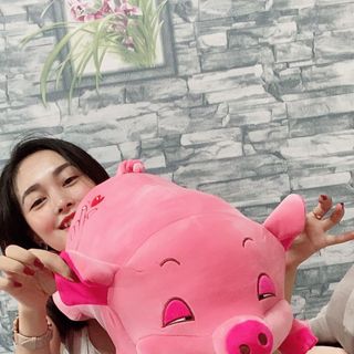 heo lười mắt híp size 60cm