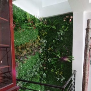 Cỏ xà lách song dán tường giá rẻ