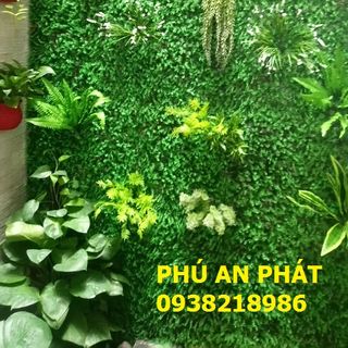 Cỏ xà lách song dán tường giá rẻ