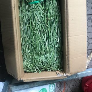 Rau tiến vua AaA