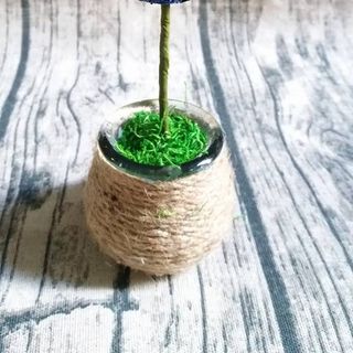 Chậu hoa trái tim nhỏ