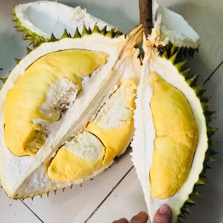 Sầu riêng cơm vàng hạt lép