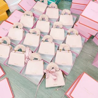 Túi xách Cnk lông vũ Quảng châu Full Box