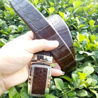 Bút nịch nam da cá sấu 100