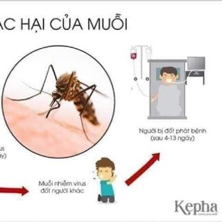 Kem đuổi muỗi côn trùng