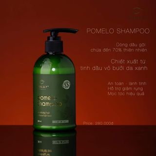 DẦU GỘI BƯỞI VIJULLY