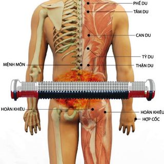 Con lăn Doctor100- Tự day ấn huyệtlăn cột sống
