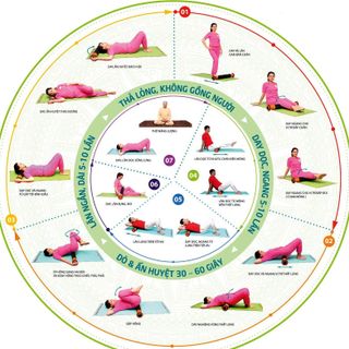 Con lăn Doctor100- Tự day ấn huyệtlăn cột sống