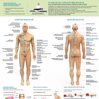 Con lăn Doctor100 - hỗ trợ điều trị đau lưng thoái hóa cột sống đau thần kinh tọa