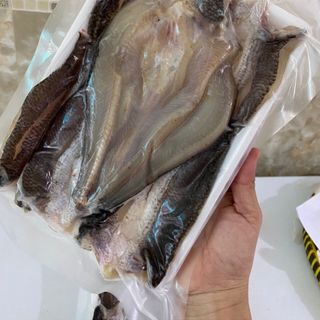Khô cá lốc 1 nắng tẩm vị