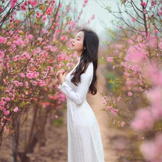ÁO DÀI GẤM TƠ VÂN HOA MỀM MẠI