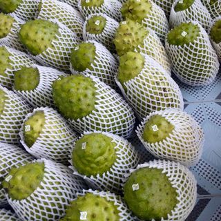 Trà Mãng Cầu Xiêm Tam Nguyên
