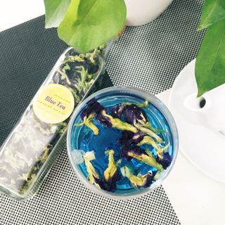 Bán sỉ trà hoa đậu biếc Blue Tea chai 261g ship toàn quốc