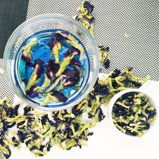 Hạt giống đậu biếc Blue Tea ship hàng sỉ lẻ toàn quốc