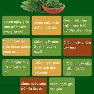 TRÀ CHÙM NGÂYTHANH NHIỆT MÁT GANTHẢI ĐỘC