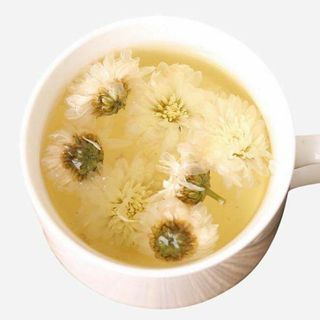 Trà hoa cúc trắng