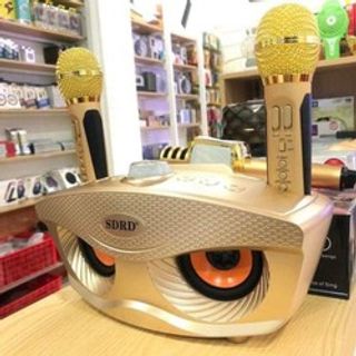 Loa karaoke bluetooth SD-306 giá sỉ​ giá bán buôn
