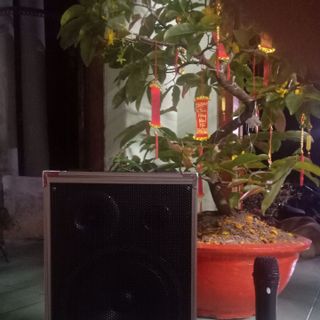 Loa Kéo Q8 cực hay - tặng kèm Micro