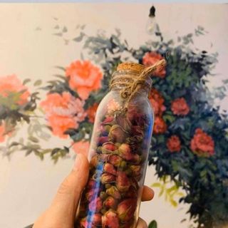 Trà hoa hồng giá sỉ