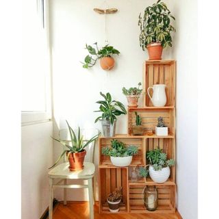 Sọt gỗ thông đa năng