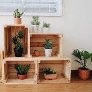 Sọt gỗ thông đa năng